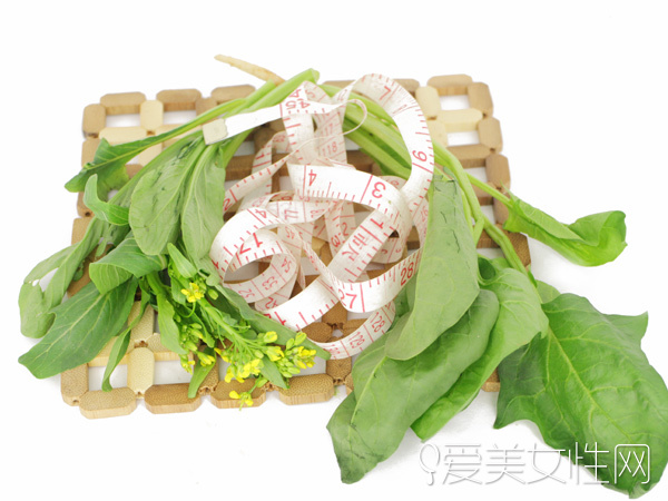  時令野菜| 美味健康兼顧的春之饗宴 