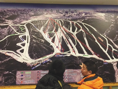 女博士滑雪時撞樹身亡 專家:滑雪達中級屬極限運動