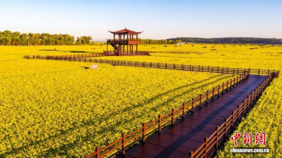 喬府大院生態(tài)體驗區(qū) 受訪者供圖