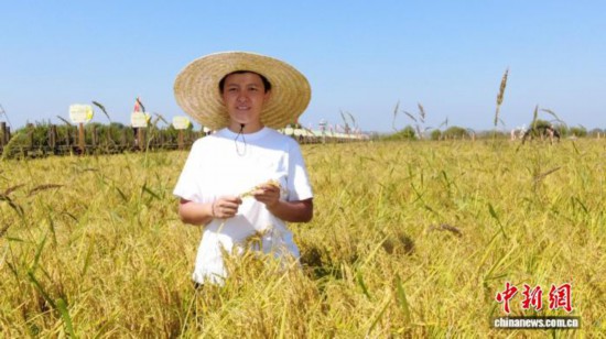 全國人大代表、寧安市渤海鎮(zhèn)上官地村黨支部書記、村委會主任陳雨佳在稻田中。 受訪者供圖