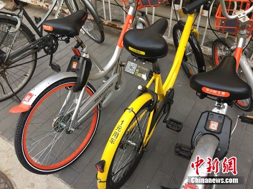 資料圖。某輛共享單車號碼被損。<a target='_blank'  _fcksavedurl='http://www.chinanews.com/' ></table>中新網(wǎng)</a> 吳濤 攝